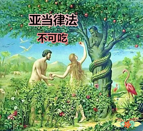 罪｜受造亚当地上伊甸园坠落-第3张