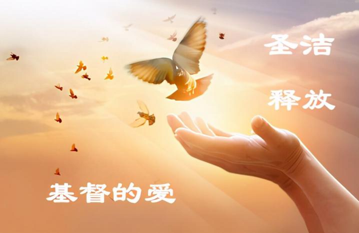 疑难解答：保罗彼得约翰雅各与律法-第3张